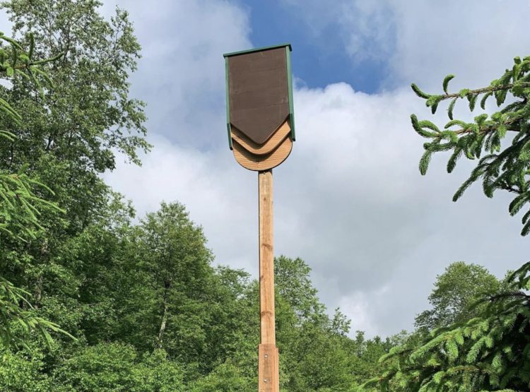 Installing your bat house on a wooden pole: A Step-by-Step Guide