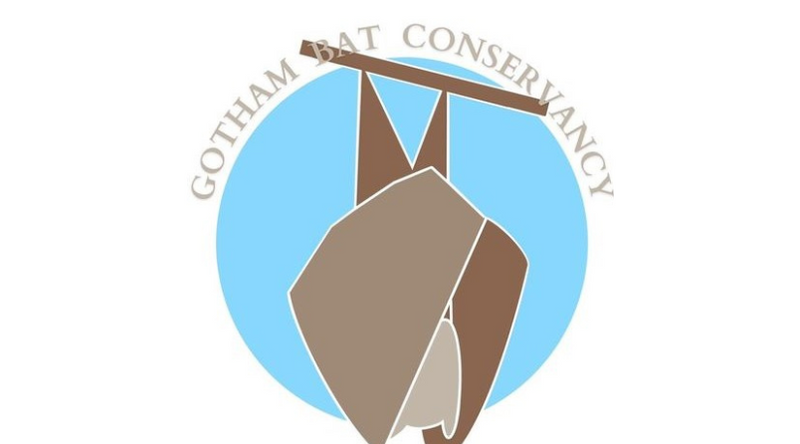 New Partnership with Gotham Bat Conservancy