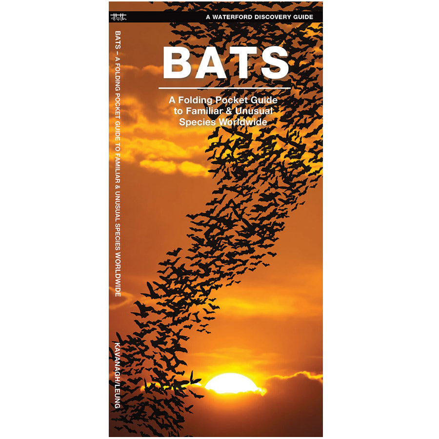 Bats: A Folding Pocket Guide - BatBnB