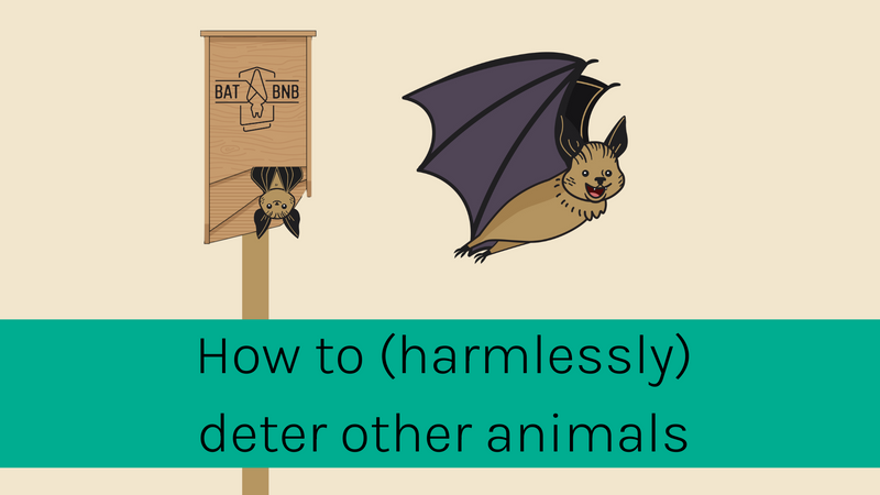 Can rats, snakes, or other animals get into my bat house?