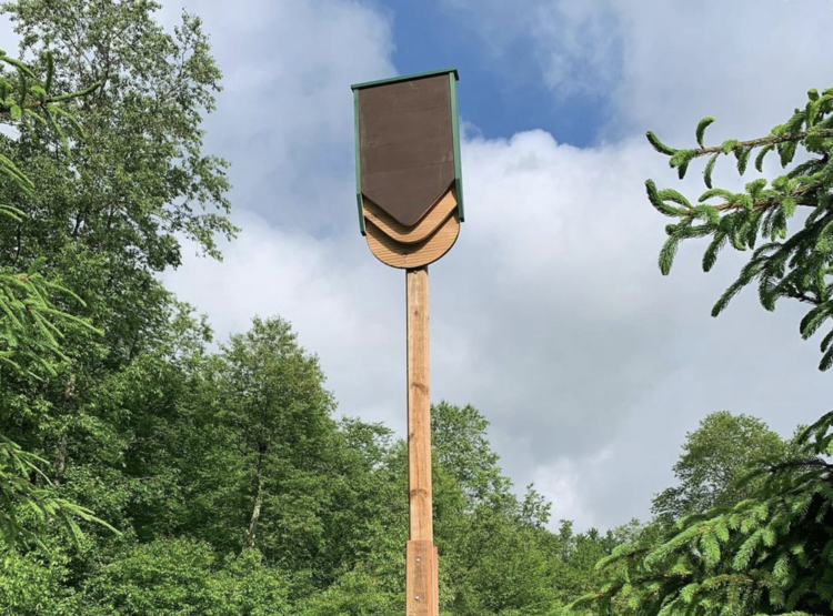 Installing your bat house on a wooden pole: A Step-by-Step Guide | BatBnB