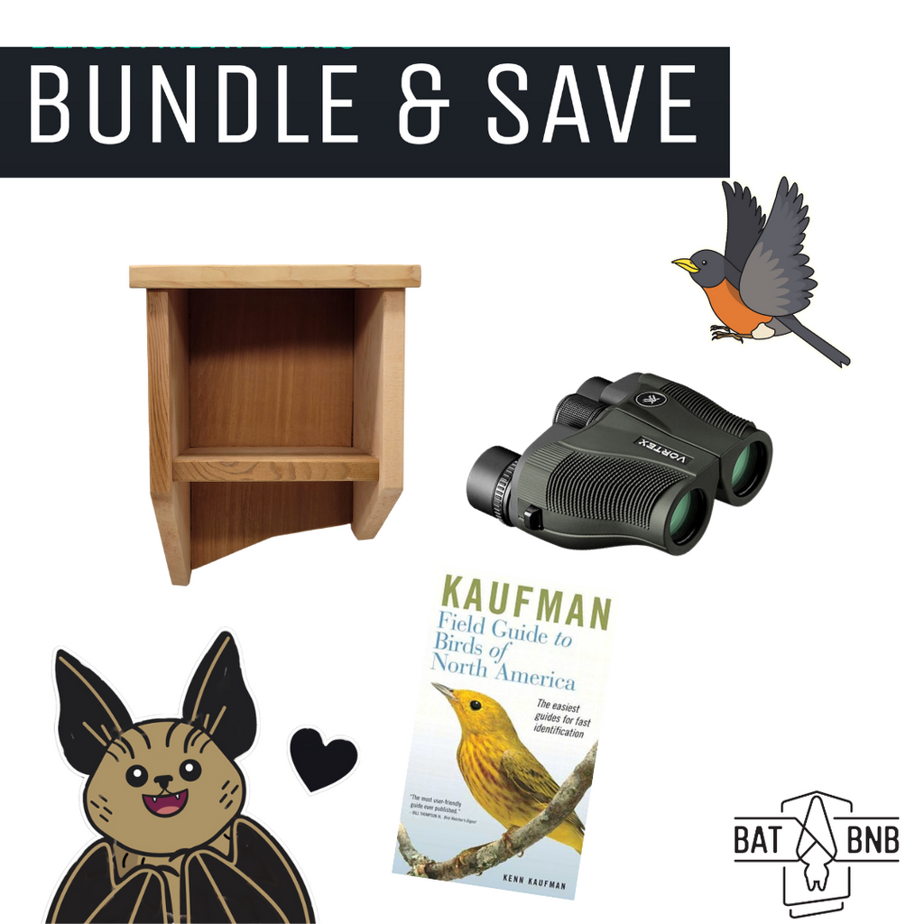 Birding Basics Bundle - BatBnB
