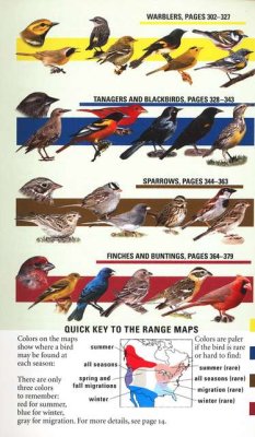 Field Guide to Birds of North America - BatBnB