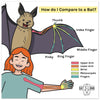 Poster: How do I Compare to a Bat - BatBnB