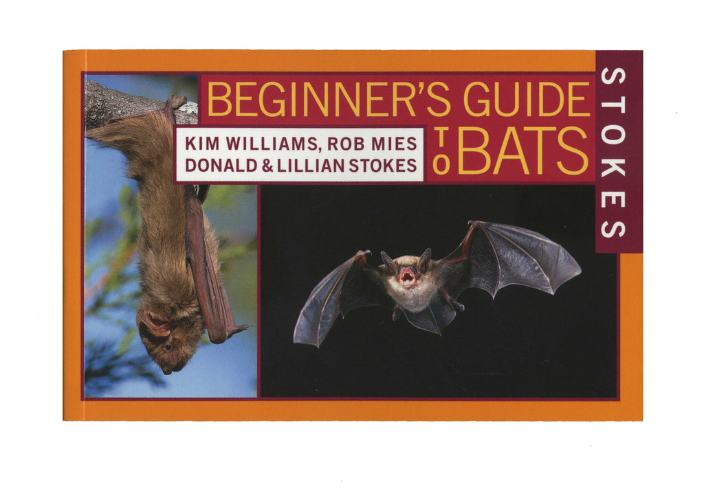 Beginner's Guide to Bats - BatBnB